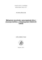 Mehanizmi množinske samoregulacije klica i stvaranja biofilma u etiopatogenezi infektivnih bolesti