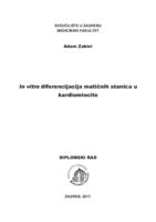 In vitro diferencijacija matičnih stanica u kardiomiocite