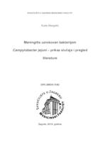 Meningitis uzrokovan bakterijom Campylobacter jejuni- prikaz slučaja i pregled literature