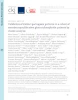 Validation of distinct pathogenic patterns in a cohort of membranoproliferative glomerulonephritis patients by cluster analysis