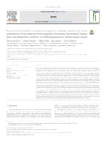 Evaluation of synthetic ceramics as compression resistant matrix to promote osteogenesis of autologous blood coagulum containing recombinant human bone morphogenetic protein 6 in rabbit posterolateral lumbar fusion model