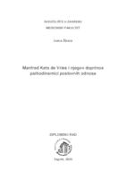 Manfred Kets de Vries i njegov doprinos psihodinamici poslovnih odnosa