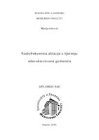 Radiofrekventna ablacija u liječenju adenokarcinoma gušterače