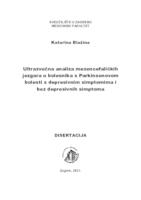 Ultrazvučna analiza mezencefaličkih jezgara u bolesnika s Parkinsonovom bolesti s depresivnim simptomima i bez depresivnih simptoma