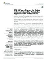 BPC 157 as a Therapy for Retinal Ischemia Induced by Retrobulbar Application of L-NAME in Rats