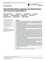 Histopathologic findings on indication renal allograft biopsies after recovery from acute COVID‐19