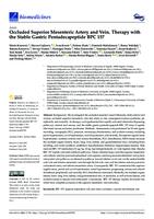 Occluded Superior Mesenteric Artery and Vein. Therapy with the Stable Gastric Pentadecapeptide BPC 157