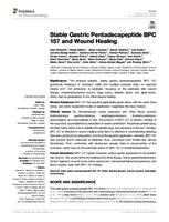 Stable Gastric Pentadecapeptide BPC 157 and Wound Healing