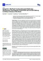 Integrative cBioPortal Analysis Revealed Molecular Mechanisms That Regulate EGFR-PI3K-AKT-mTOR Pathway in Diffuse Gliomas of the Brain