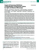 Impact of Consensus Definitions on Identification of Glomerular Lesions by Light and Electron Microscopy