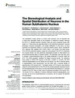 The Stereological Analysis and Spatial Distribution of Neurons in the Human Subthalamic Nucleus