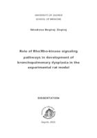 Role of Rho/Rho-kinase signaling pathways in development of bronchopulmonary dysplasia in the experimental rat model