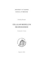 Cellular models in neuroscience