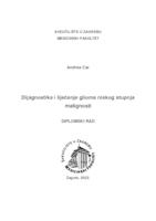 Dijagnostika i liječenje glioma niskog stupnja malignosti