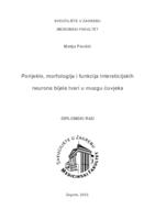 Porijeklo, morfologija i funkcija intersticijskih neurona bijele tvari u mozgu čovjeka