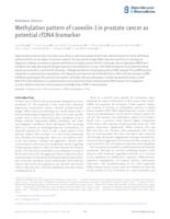 Methylation pattern of Caveolin-1 in prostate cancer as potential cfDNA biomarker
