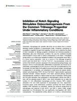 Inhibition of Notch Signaling Stimulates Osteoclastogenesis From the Common Trilineage Progenitor Under Inflammatory Conditions