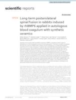 Long-term posterolateral spinal fusion in rabbits induced by rhBMP6 applied in autologous blood coagulum with synthetic ceramics