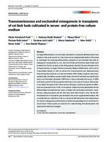 Transmembranous and enchondral osteogenesis in transplants of rat limb buds cultivated in serum‐ and protein‐free culture medium