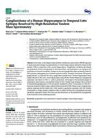 Gangliosidome of a Human Hippocampus in Temporal Lobe Epilepsy Resolved by High-Resolution Tandem Mass Spectrometry