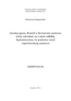 Izražaj gena Stam2 u živčanom sustavu miša određen na razini mRNA, bjelančevine, te pomoću lacZ reporterskog sustava 