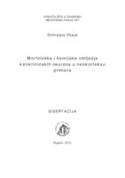 Morfološka i kemijska obilježja kalretininskih neurona u neokorteksu primata 