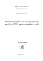 Učinkovitost koštanoga morfogenetskoga proteina BMP1-3 u procesu cijeljenja kosti