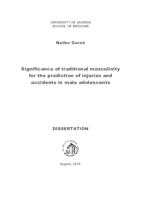 Significance of traditional masculinity for the prediction of injuries and accidents in male adolescents 