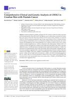 Comprehensive Clinical and Genetic Analysis of CHEK2 in Croatian Men with Prostate Cancer