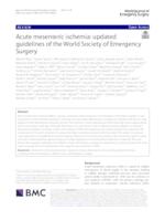 Acute mesenteric ischemia: updated guidelines of the World Society of Emergency Surgery
