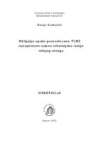 Obilježja upale posredovane TLR2 receptorom nakon ishemijske lezije mišjeg mozga