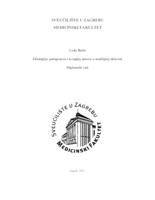 Etiologija, patogeneza i terapija umora u multiploj sklerozi