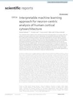 Interpretable machine learning approach for neuron-centric analysis of human cortical cytoarchitecture