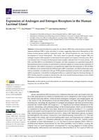 Expression of Androgen and Estrogen Receptors in the Human Lacrimal Gland
