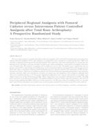 Peripheral regional analgesia with femoral catheter versus intravenous patient controlled analgesia after total knee arthroplasty: a prospective randomized study 