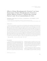 Effect of bone morphogenetic protein-7 on gene expression of bone morphogenetic protein-4, dentin matrix protein-1, insulin-like growth factor-I and -II in cementoblasts in vitro 