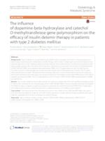 The influence of dopamine-beta-hydroxylase and catechol O-methyltransferase gene polymorphism on the efficacy of insulin detemir therapy in patients with type 2 diabetes mellitus
