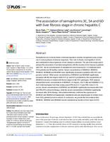 The association of semaphorins 3C, 5A and 6D with liver fibrosis stage in chronic hepatitis C