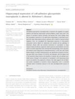 Hippocampal expression of cell-adhesion glycoprotein neuroplastin is altered in Alzheimer's disease