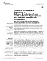 Haplotypic and genotypic Association of catechol-O-methyltransferase rs4680 and rs4818 polymorphisms and treatment resistance in schizophrenia