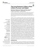 The long Pentraxin 3 plays a role in bone turnover and repair