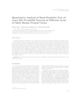 Quantitative analysis of basal dendritic tree of layer III pyramidal neurons in different areas of adult human frontal cortex