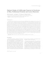 Distinct origin of GABA-ergic neurons in forebrain of man, nonhuman primates and lower mammals