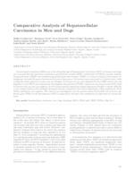 Comparative analysis of hepatocellular carcinoma in men and dogs 