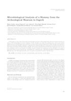 Microbiological analysis of a mummy from the archeological museum in Zagreb 