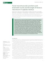 Facial neuromuscular junctions and brainstem nuclei are the target of tetanus neurotoxin in cephalic tetanus