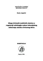 Uloga živčanih matičnih stanica u regulaciji mitofagije nakon ishemijskog oštećenja stanica živčanog tkiva