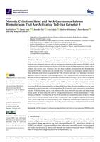 Necrotic Cells from Head and Neck Carcinomas Release Biomolecules That Are Activating Toll-like Receptor 3