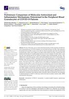 Preliminary Comparison of Molecular Antioxidant and Inflammatory Mechanisms Determined in the Peripheral Blood Granulocytes of COVID-19 Patients