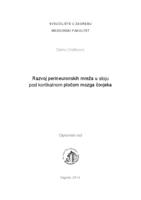 Razvoj perineuronskih mreža u sloju pod kortikalnom pločom mozga čovjeka